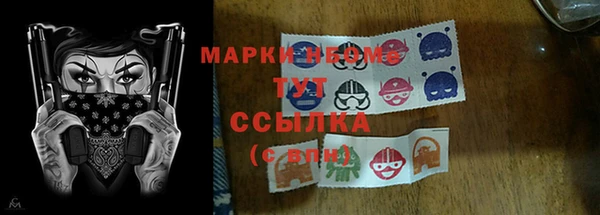 ПСИЛОЦИБИНОВЫЕ ГРИБЫ Сосновка
