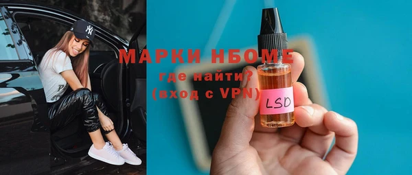 мдпв Кизел