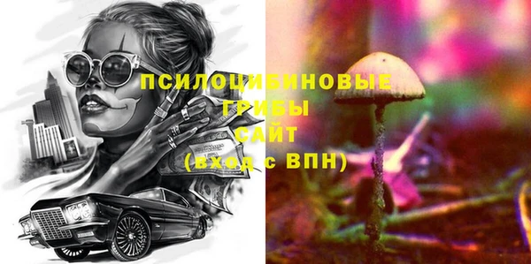спиды Сосновоборск